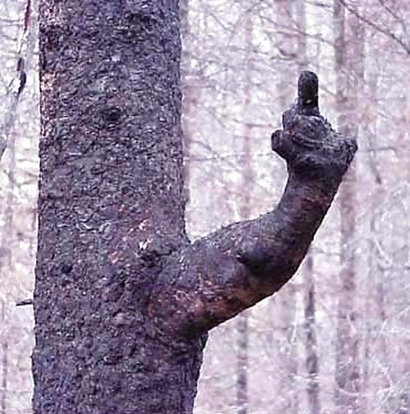 25P 49 most funny     b