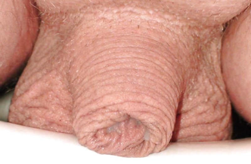 19P Tiny Penis Suction