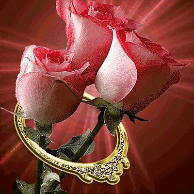 8P Romantic roses for your lovers and friends.