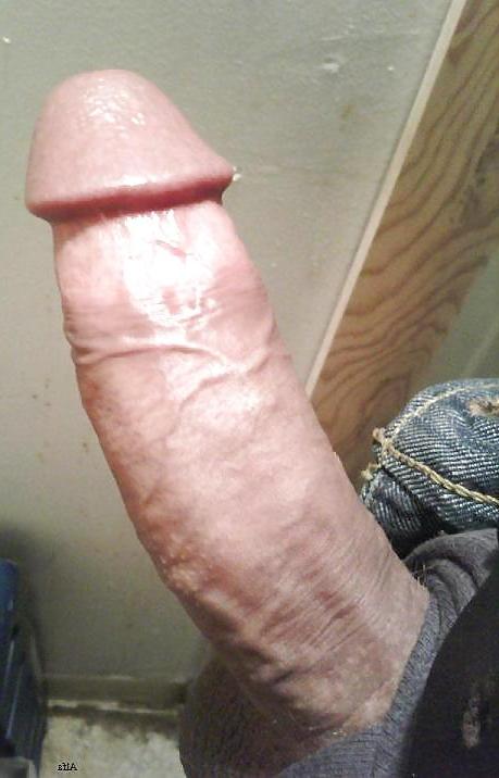 15P My alfa cock, 2d part