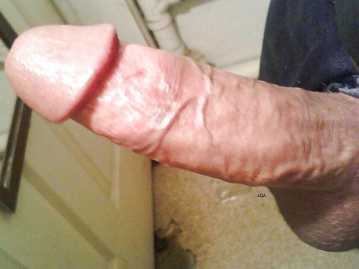 15P My alfa cock, 2d part
