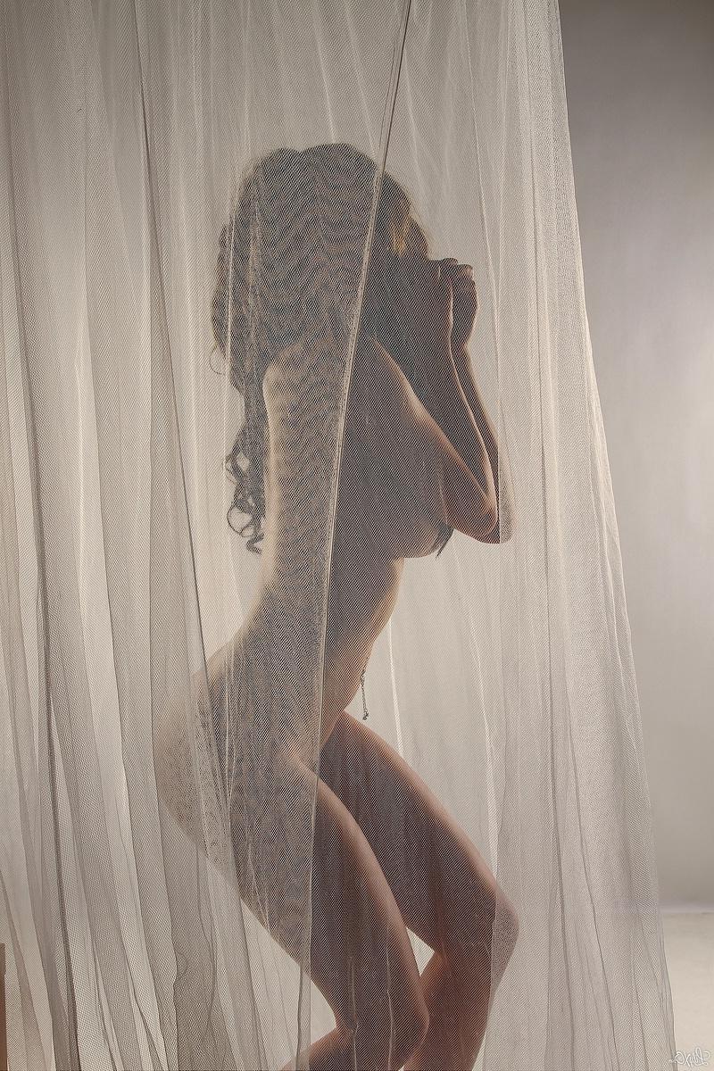 15P Lily poses behind a sheer curtain and teases