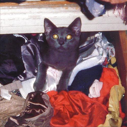 18P Nylon panties hidden in drawers