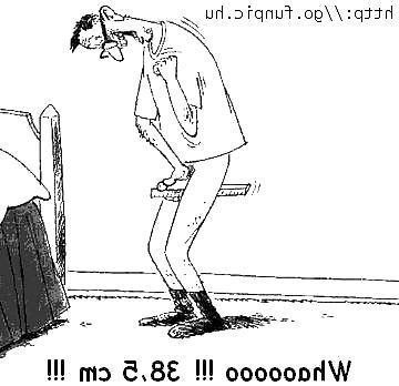 16P Funny 21