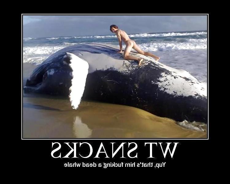 25P XX-Files #3 Funny, Sexy & Naughty Pik-Captions