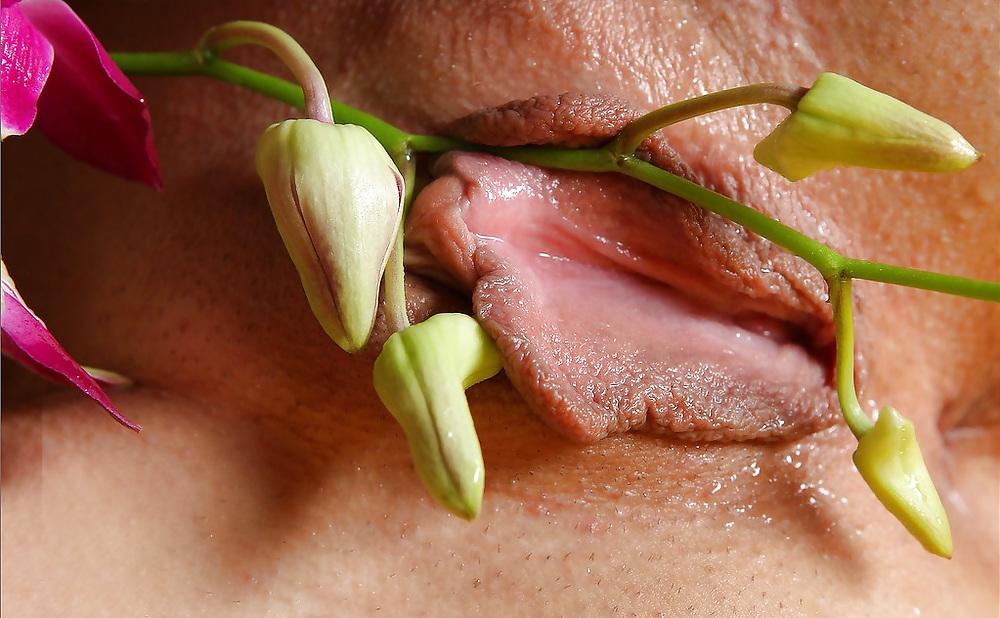 7P Mikas awesome long Pussylips 