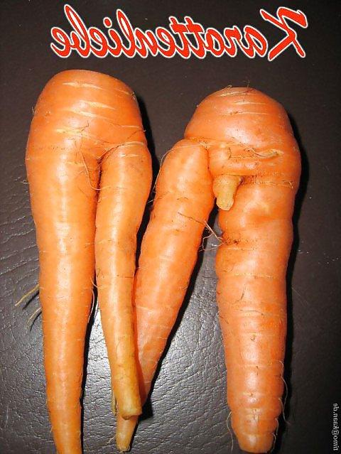 18P Funny 22