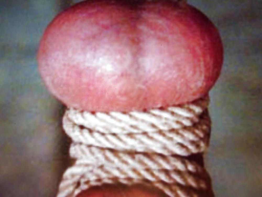 10P COCKS PENIS