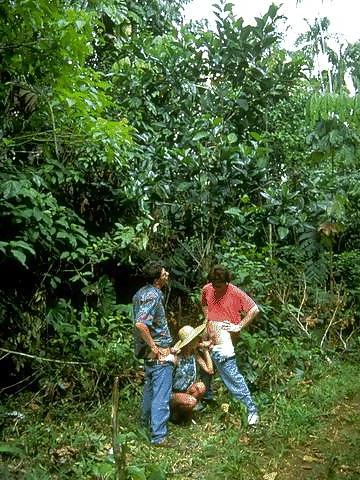 24P Blonde Liona getting three cocks in the jungle