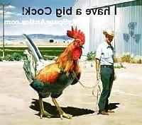 10P Funny pic