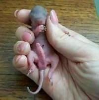 10P Funny pic