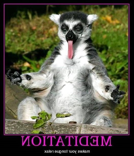 13P FUNNY STUFF!