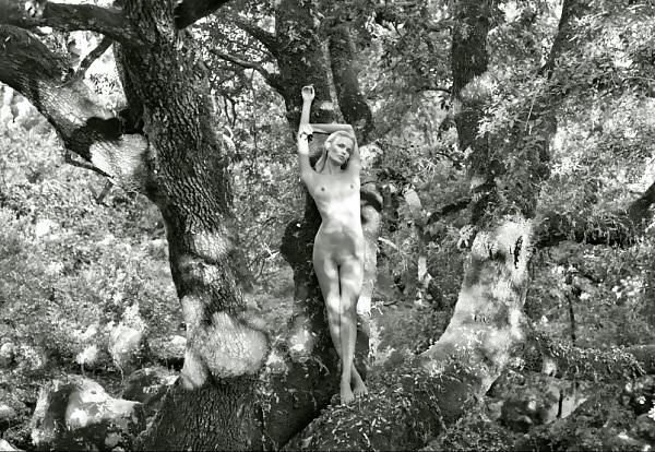24P 2012 Pirelli Calendar Naked Hot Celebs