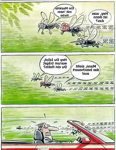 15P Funny 26