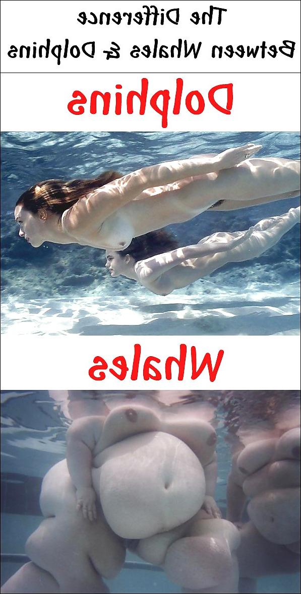 25P Random funny pix