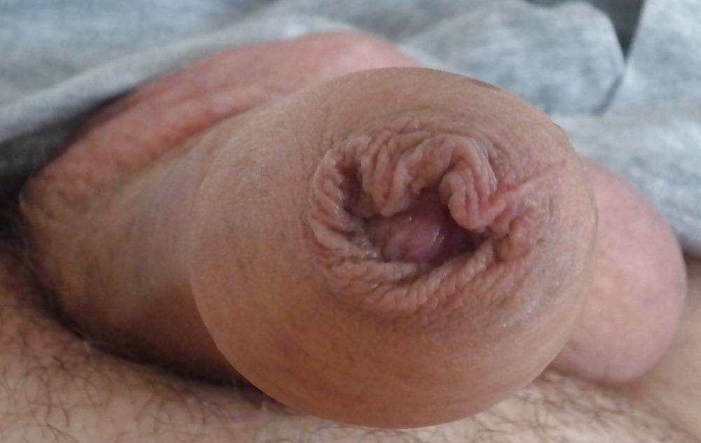 19P Penis II