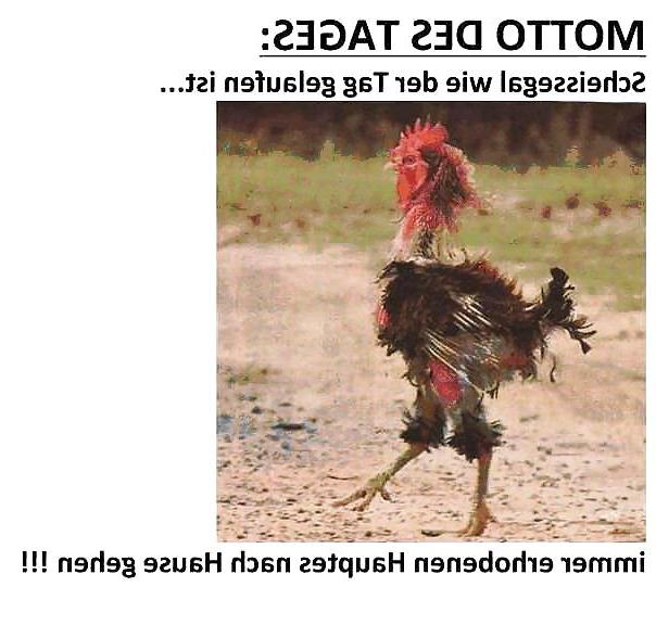 22P Funny 27