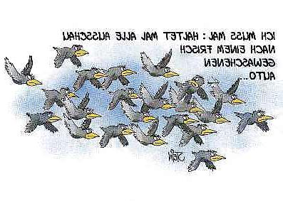 22P Funny 27