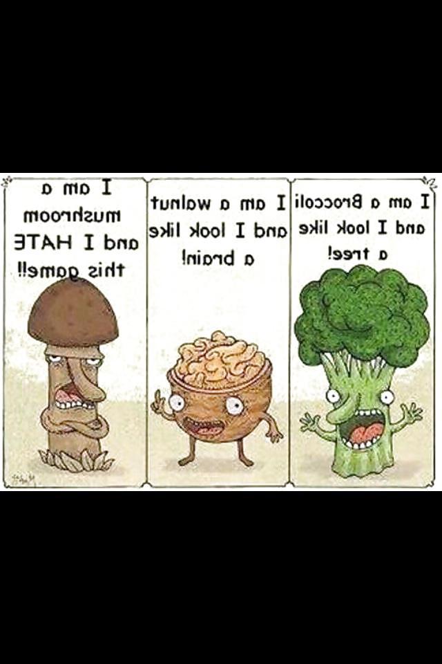 22P Funny 27