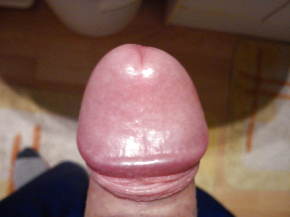 4P My penis ... how does he look ?