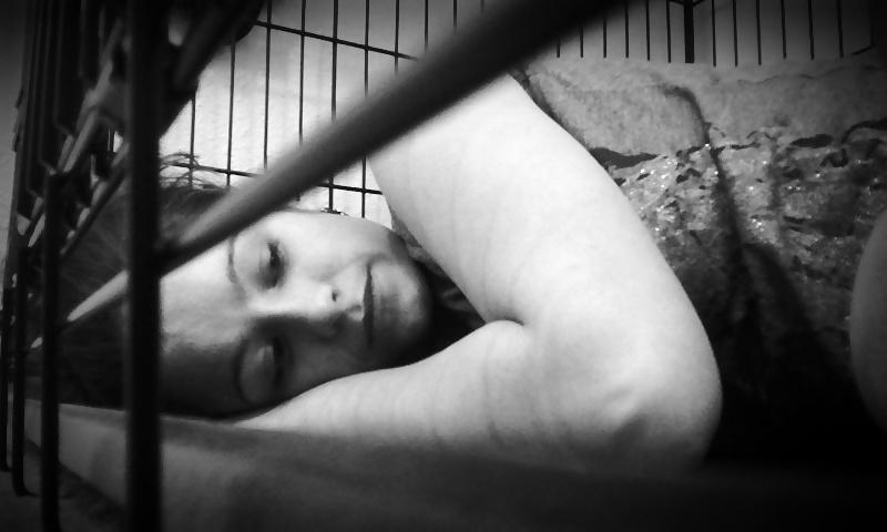 8P Caged slave...