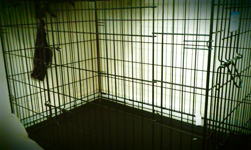 8P Caged slave...