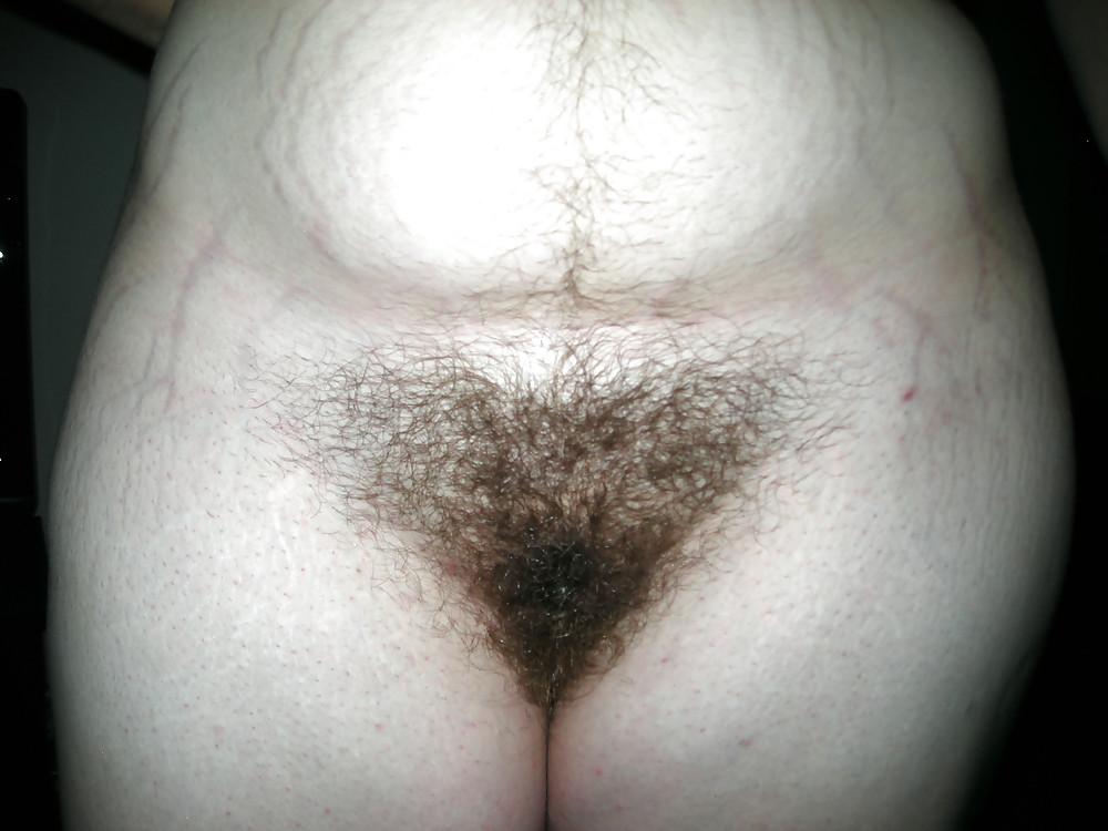 4P Some more pics of my hairy friend
