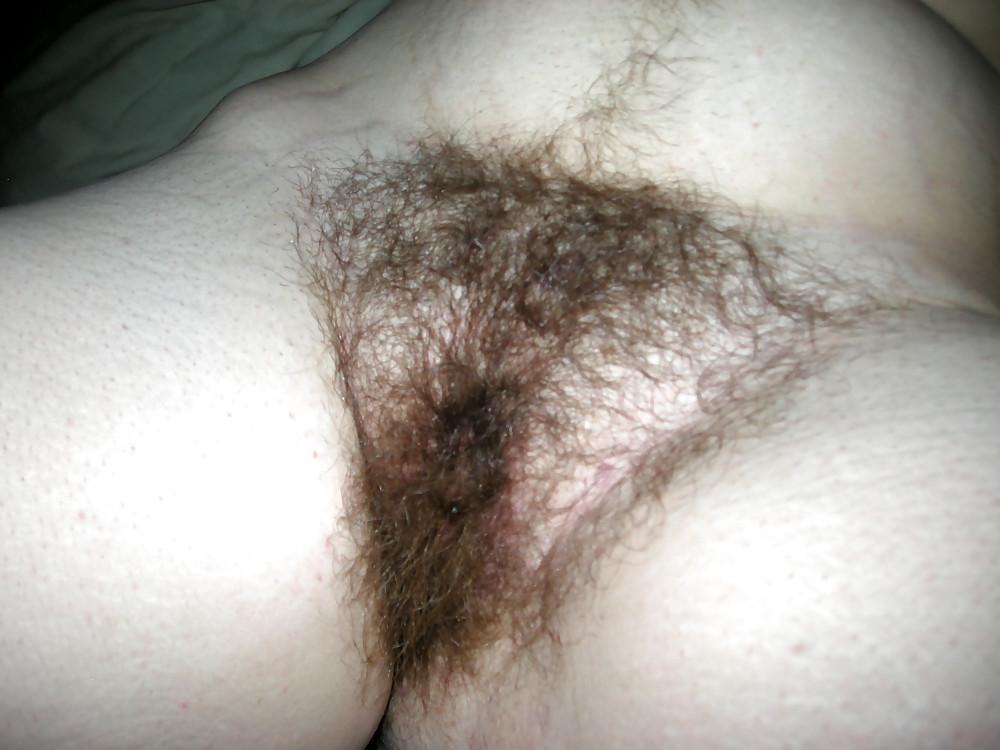 4P Some more pics of my hairy friend