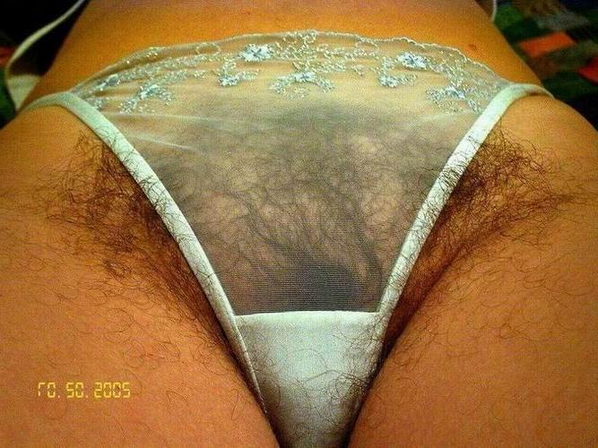 15P very hairy amateur ladies posing