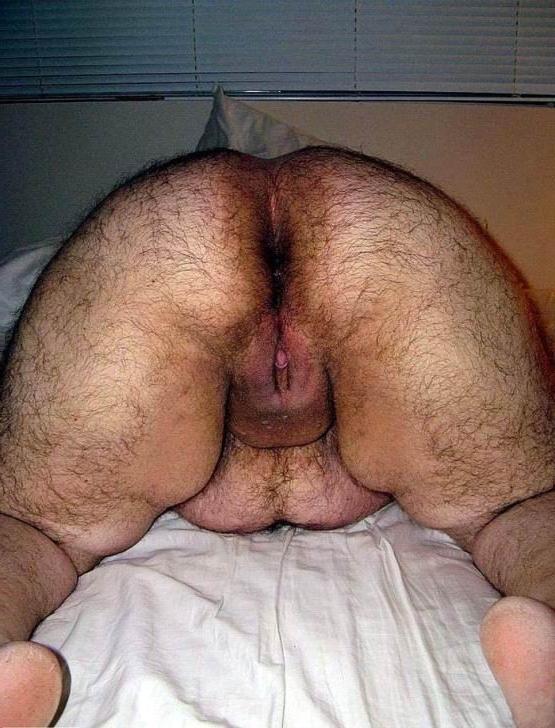 16P Very hairy amateur ladies posing nude