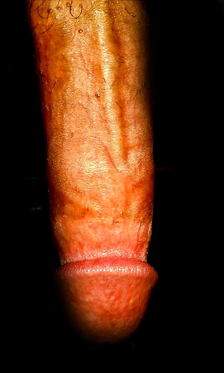 8P Il mio pene 2