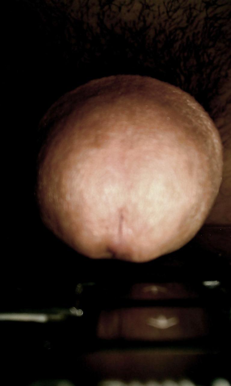 8P Il mio pene 2