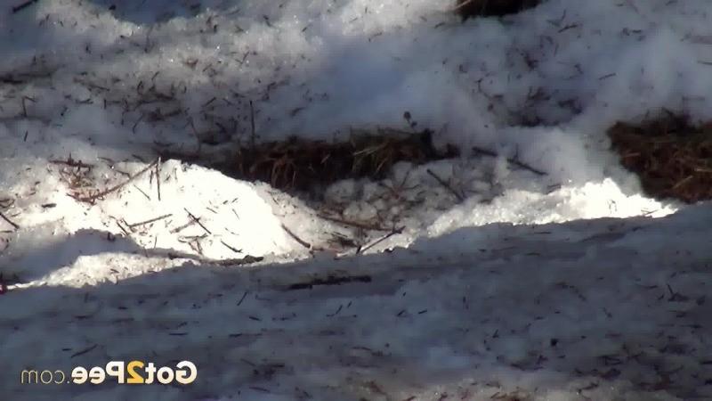 15P Pretty brunette lifts up her skirt to piss in the snow
