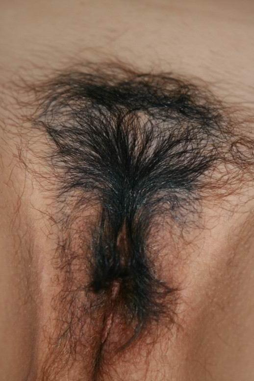 11P very hairy amateurs posing nude