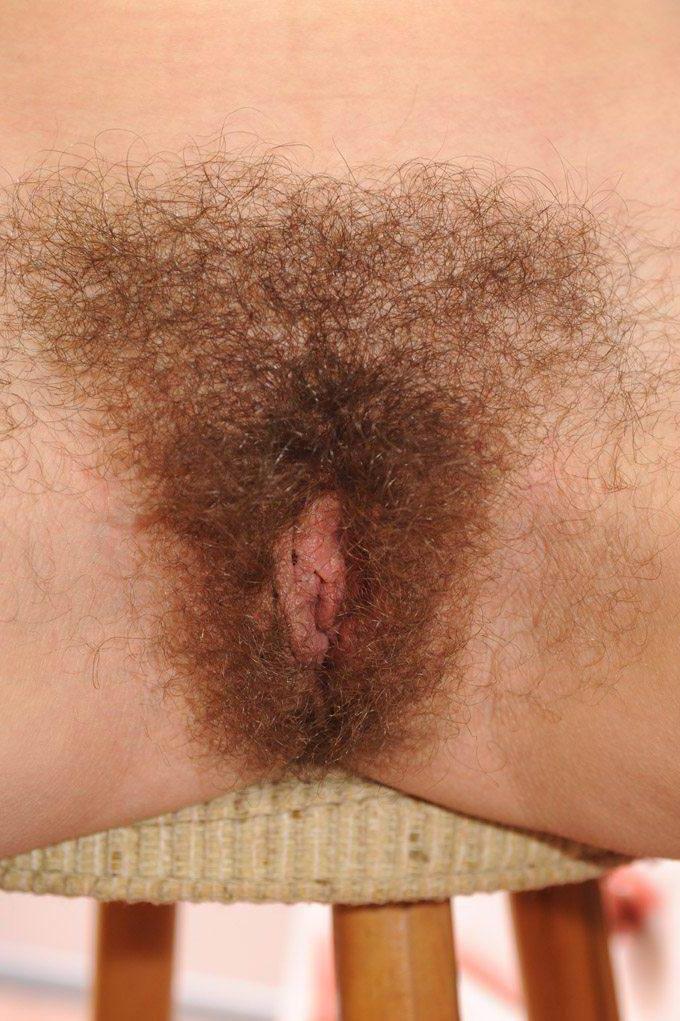 11P Hairy amateur girls and moms posing nude