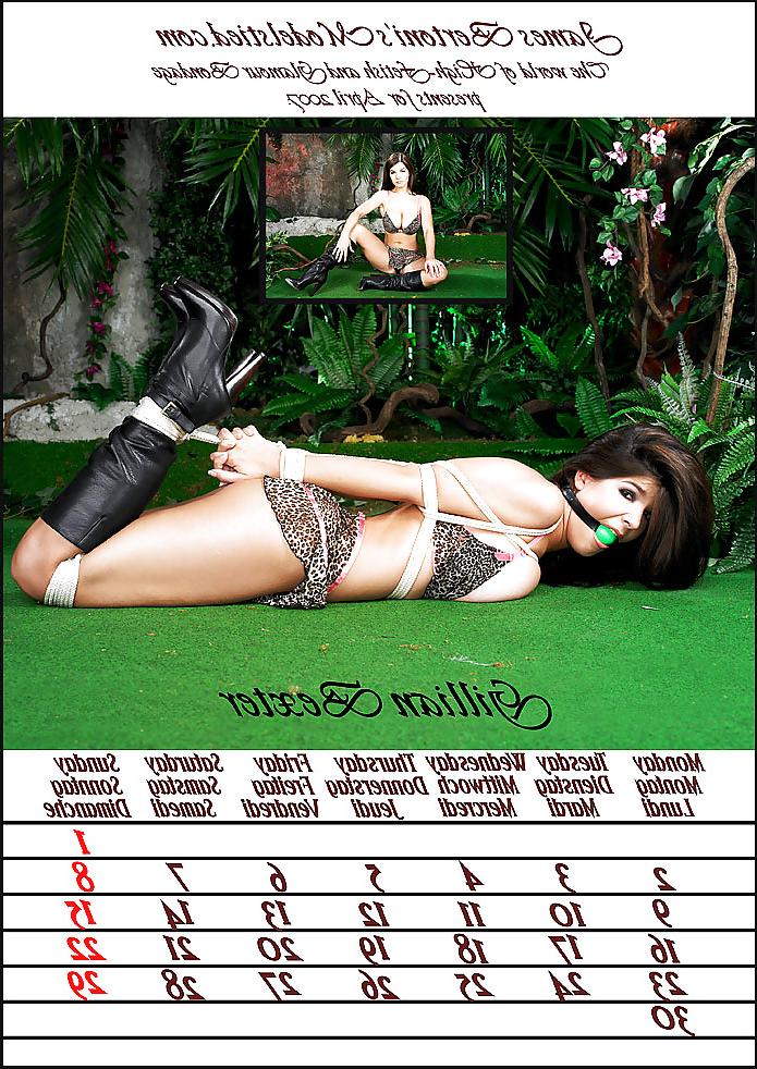 25P Bondage calendar favorites