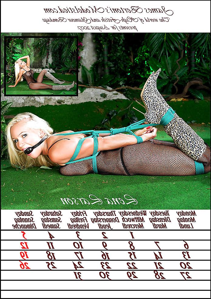 25P Bondage calendar favorites