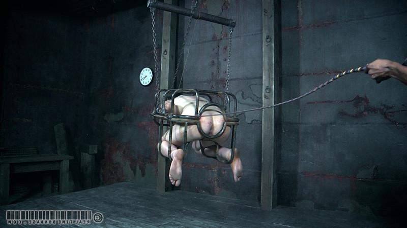 16P 314 has been in this cage for hours 
