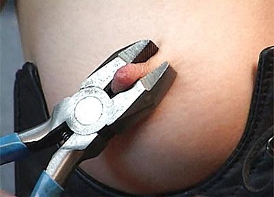 18P Nipple clamps!