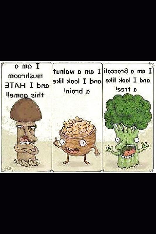 4P Funny Stuff