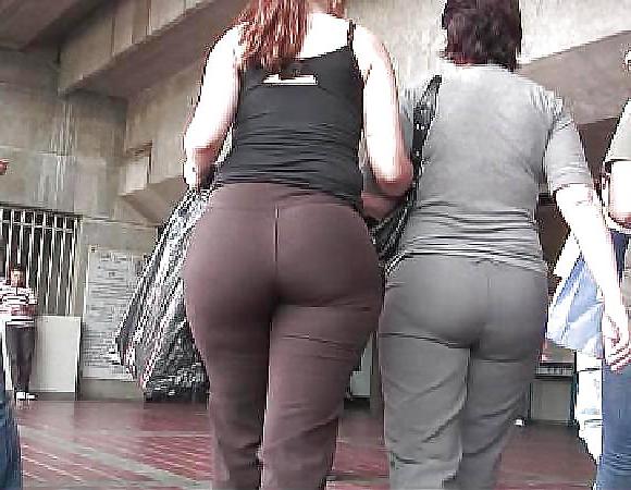 24P Tights Panty Hose Body Stocking Amature
