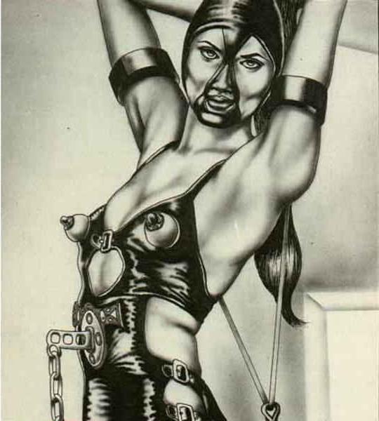 15P terrible painful female dungeon art