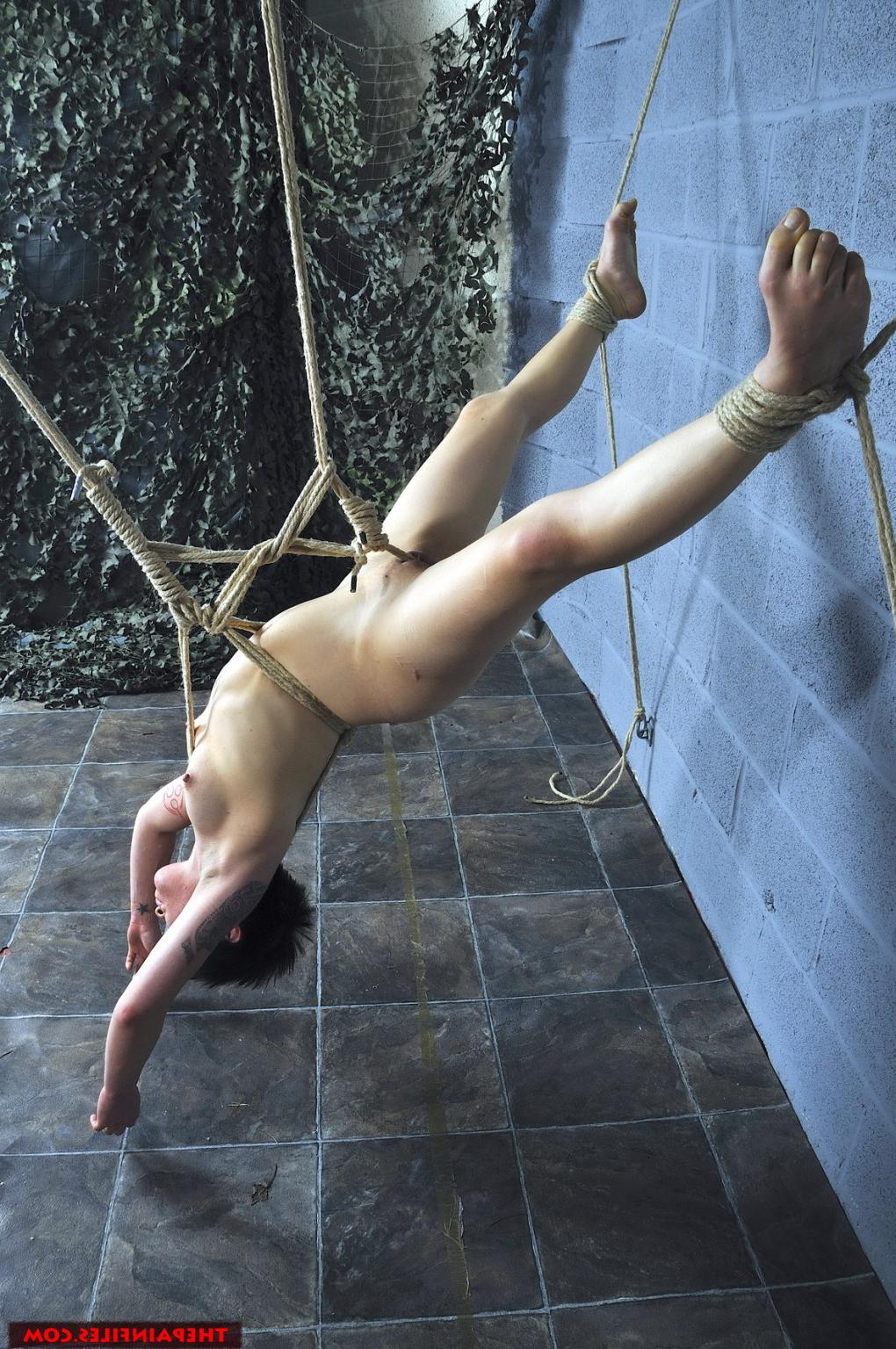 16P Japanese Meis suspension bondage