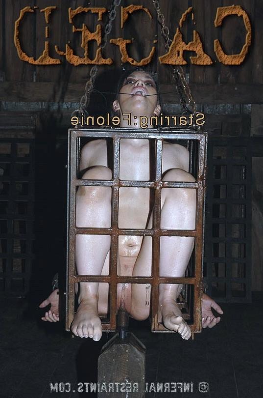 16P Felonie amateur is put in a cage with clamps on pussy and tits
