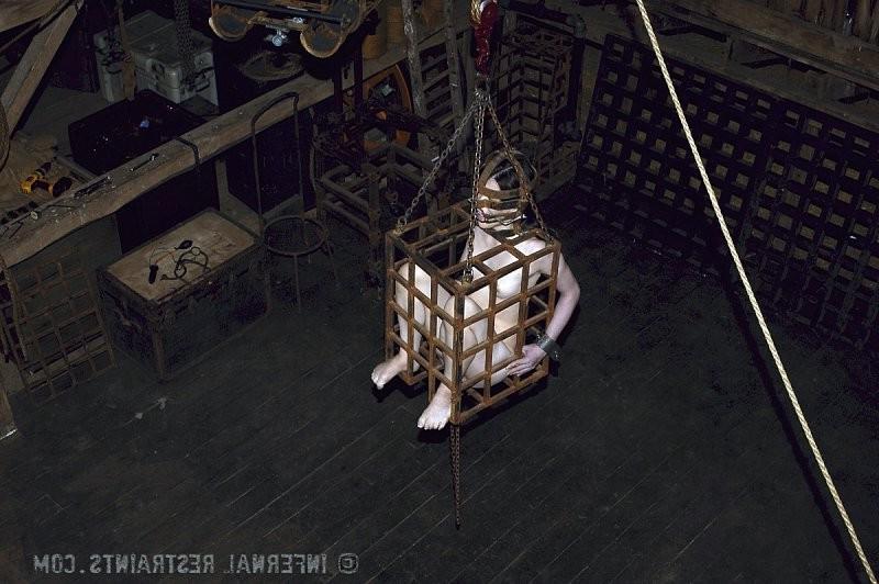 16P Felonie amateur is put in a cage with clamps on pussy and tits