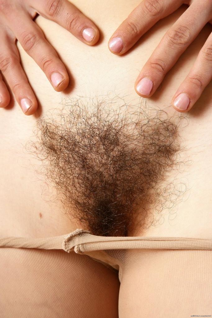12P Hirsute Amateur Babe Closeup Hairy Cunt