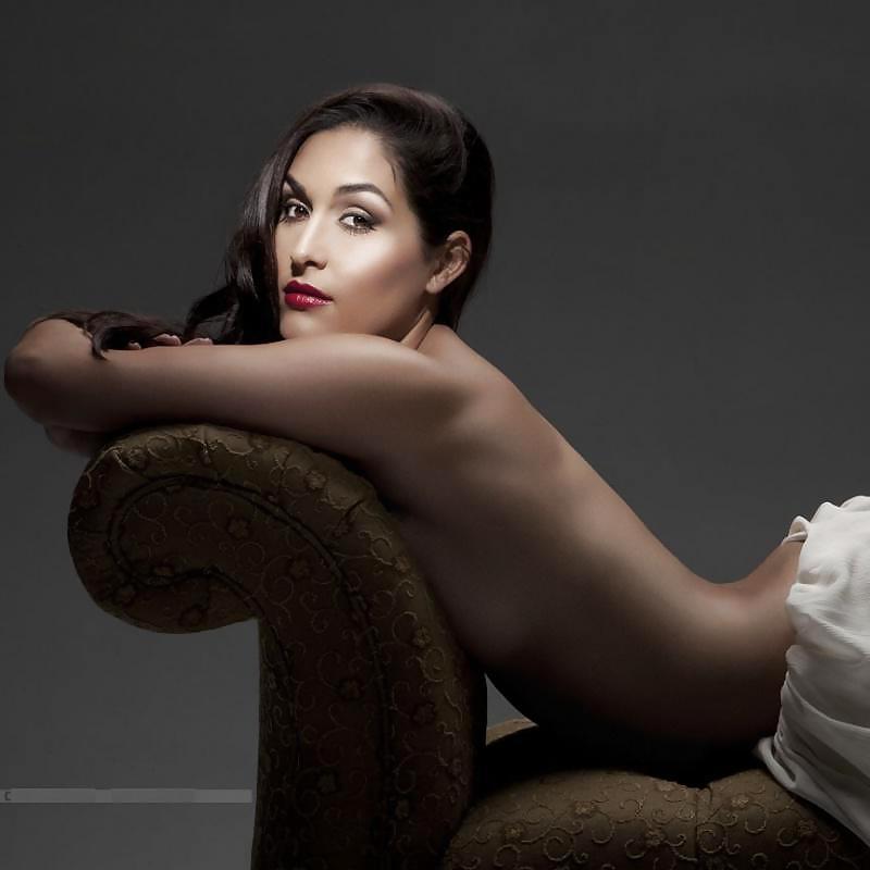 25P Brie and Nikki, the Bella Twins - WWE Diva mega collection