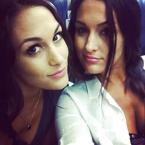 25P Brie and Nikki, the Bella Twins - WWE Diva mega collection