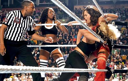 25P Brie and Nikki, the Bella Twins - WWE Diva mega collection