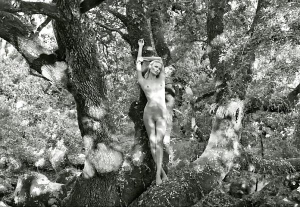 25P Calendrier Pirelli - Pirelli calendar